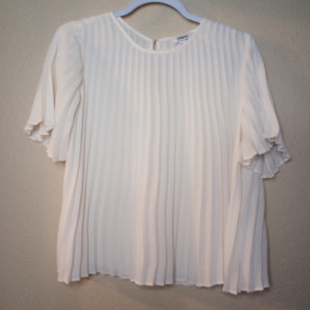 Express Ivory Pleated Blouse